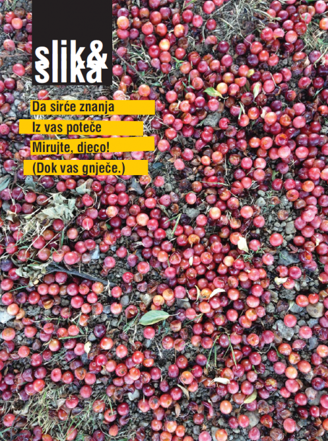 slik-novo-14