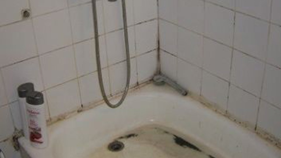 ap_529f004acec31.jpg