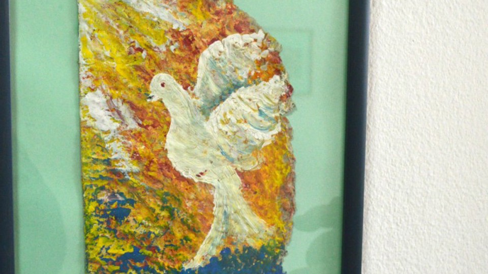 ap_56e7df82990ee.jpg