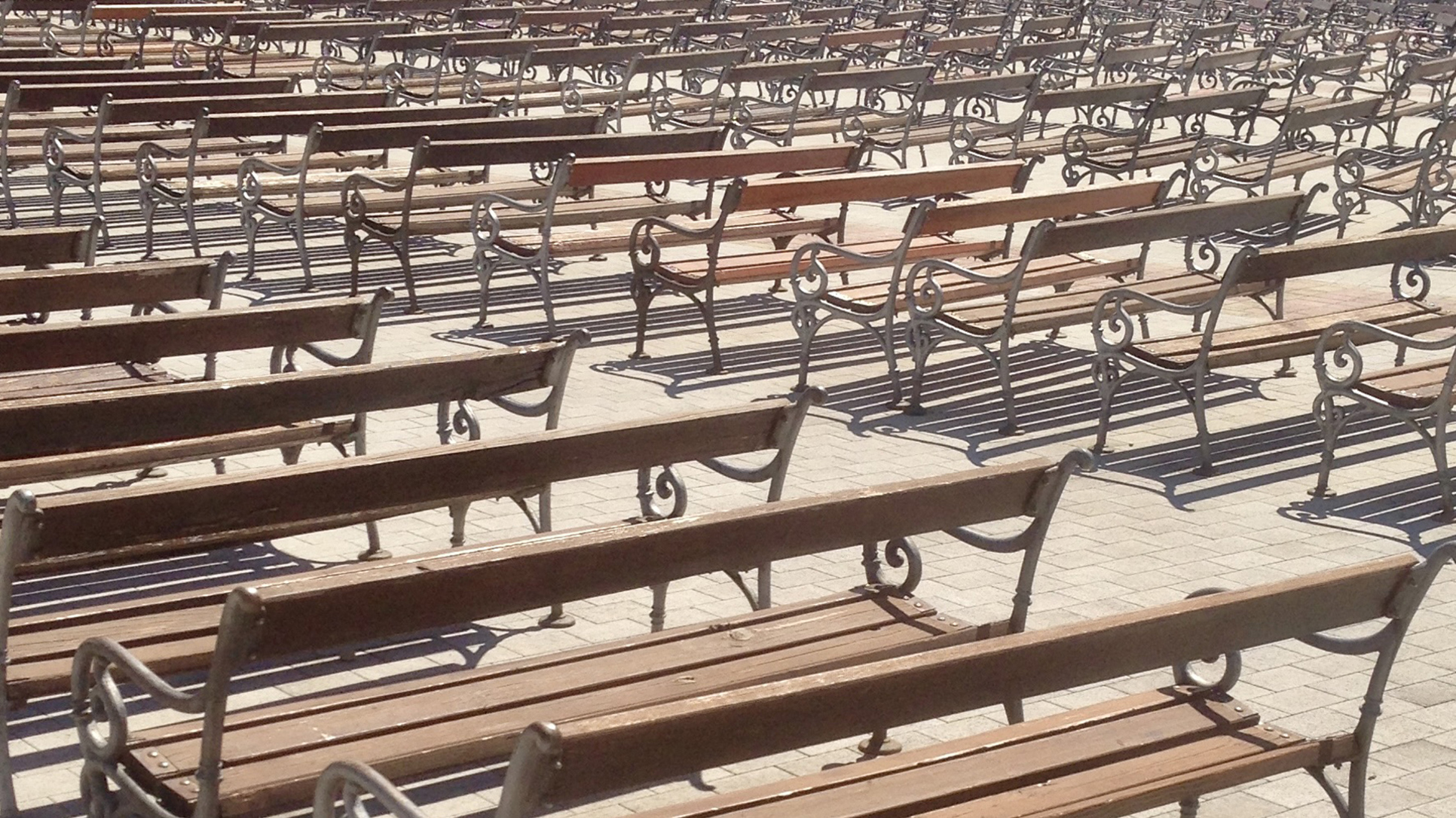 Doba umjetne inteligencije i polarizacije: U potrazi za obrazovnim modelom za ljude