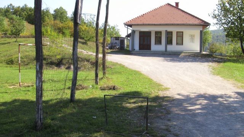 ap_52722f096cf6a.jpg
