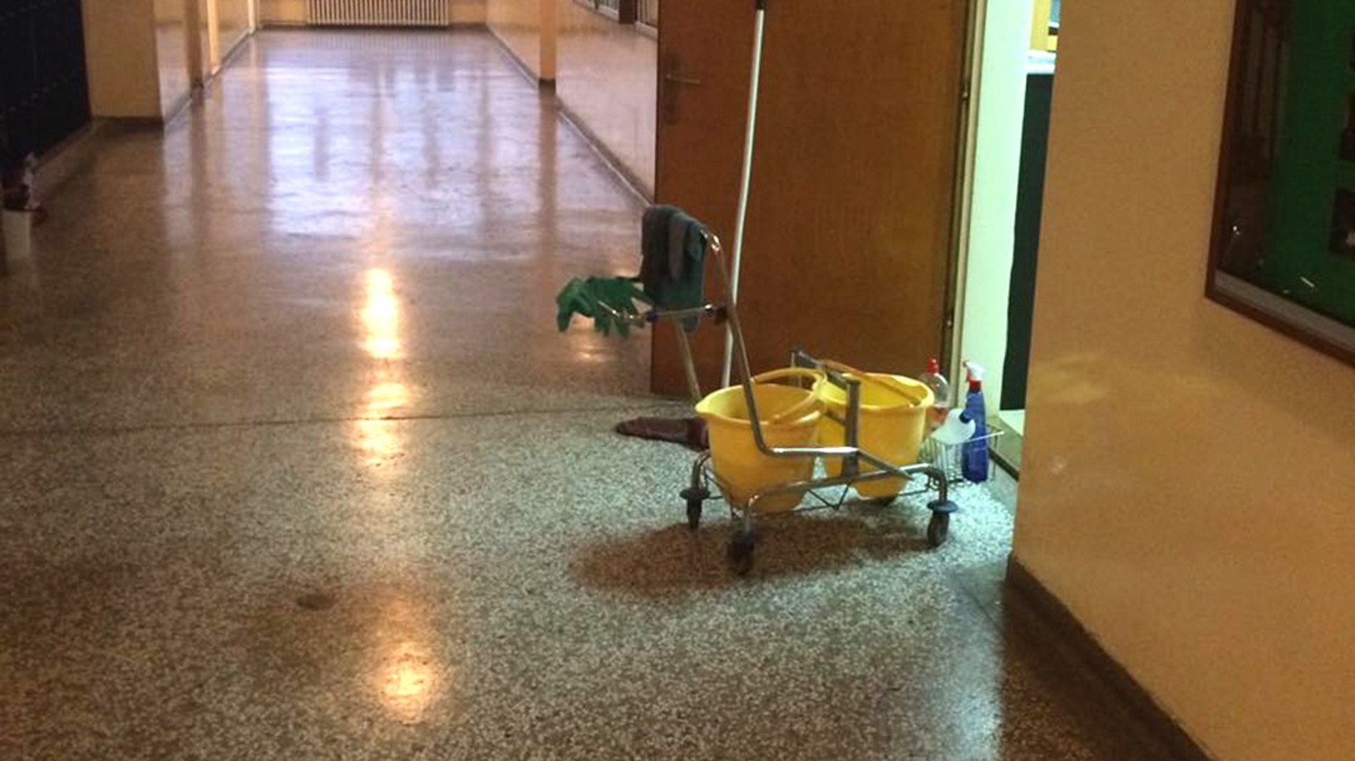 Spremačica i gluhoprde