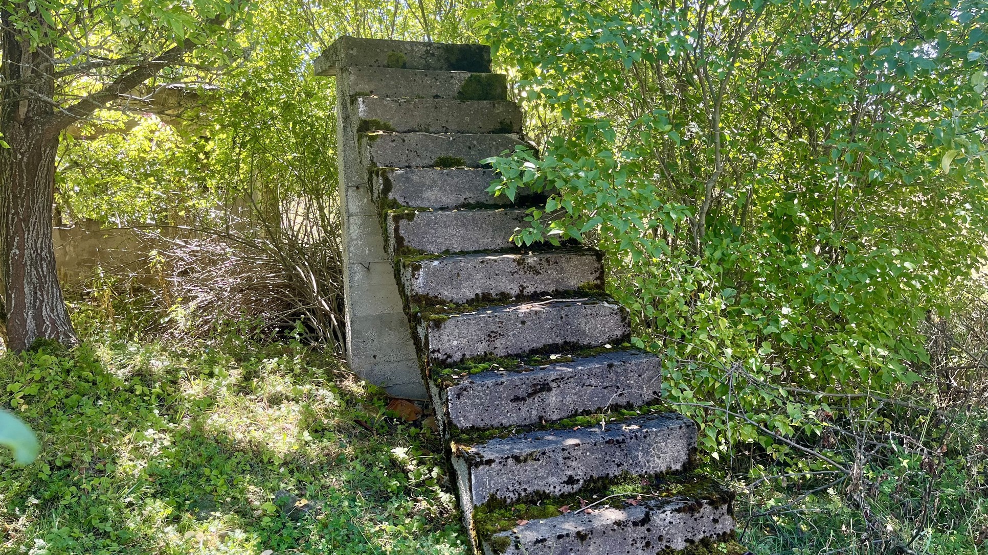 Zagadi pa vladaj
