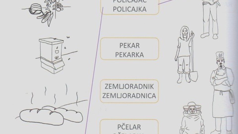 ap_51a31e0b6119a.jpg