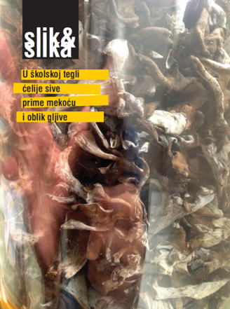 slik-novo-6