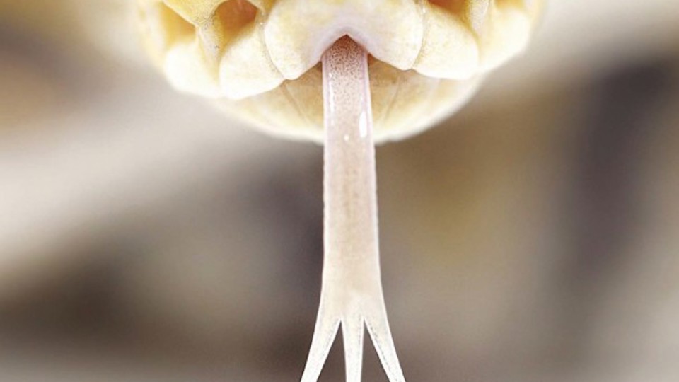 ap_54c438e6c106b.jpg