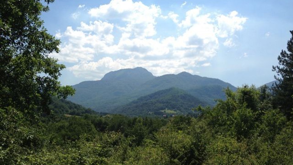 ap_51d13b5704437.jpg