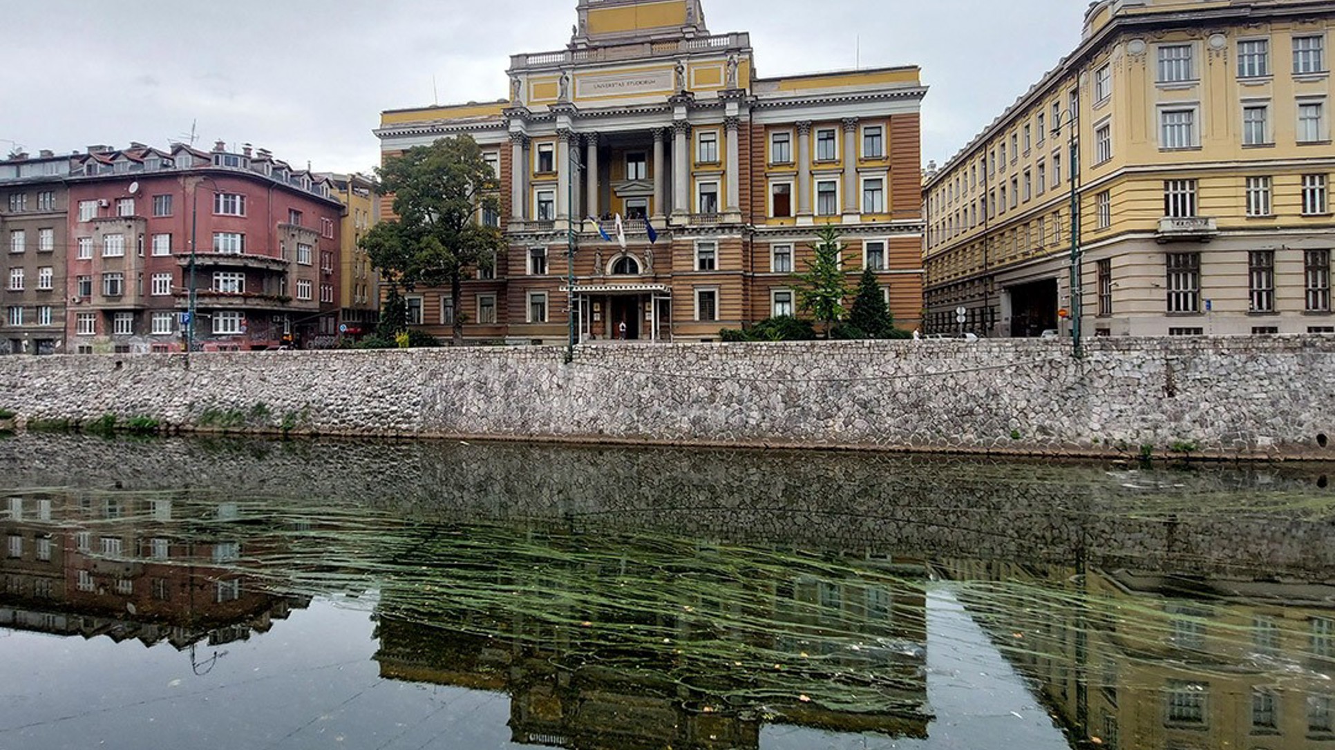 Agencija za mužu studenata