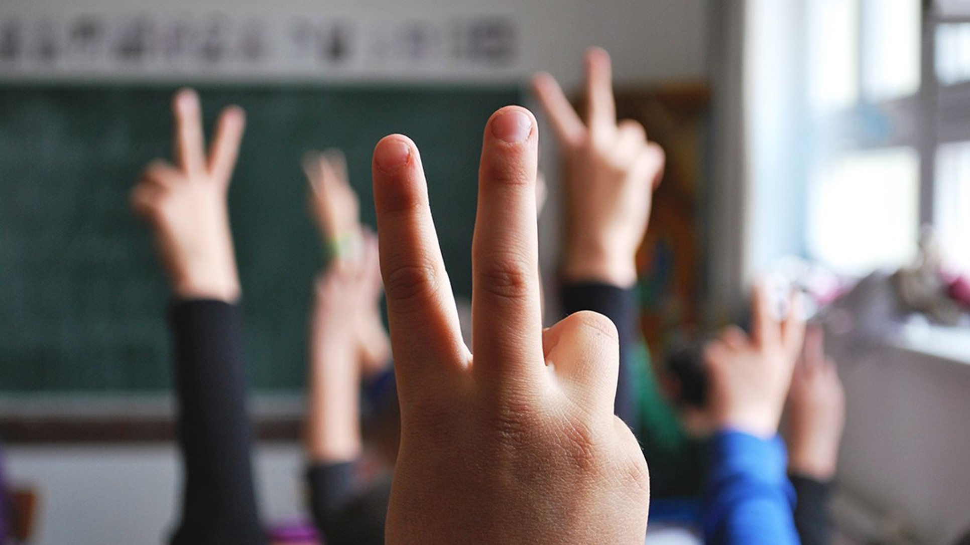 Za nastavnički posao nisu važne samo funkcionalne glasnice