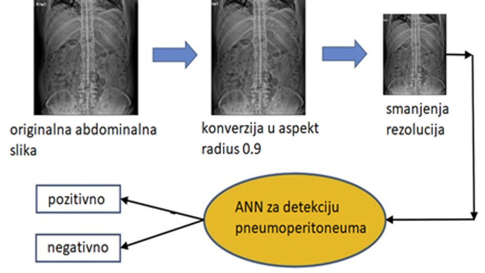 65a9228c6bc19_article.png