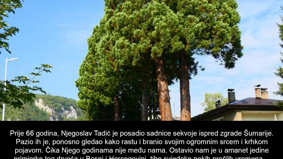 65d307ec2c0e8_article.png