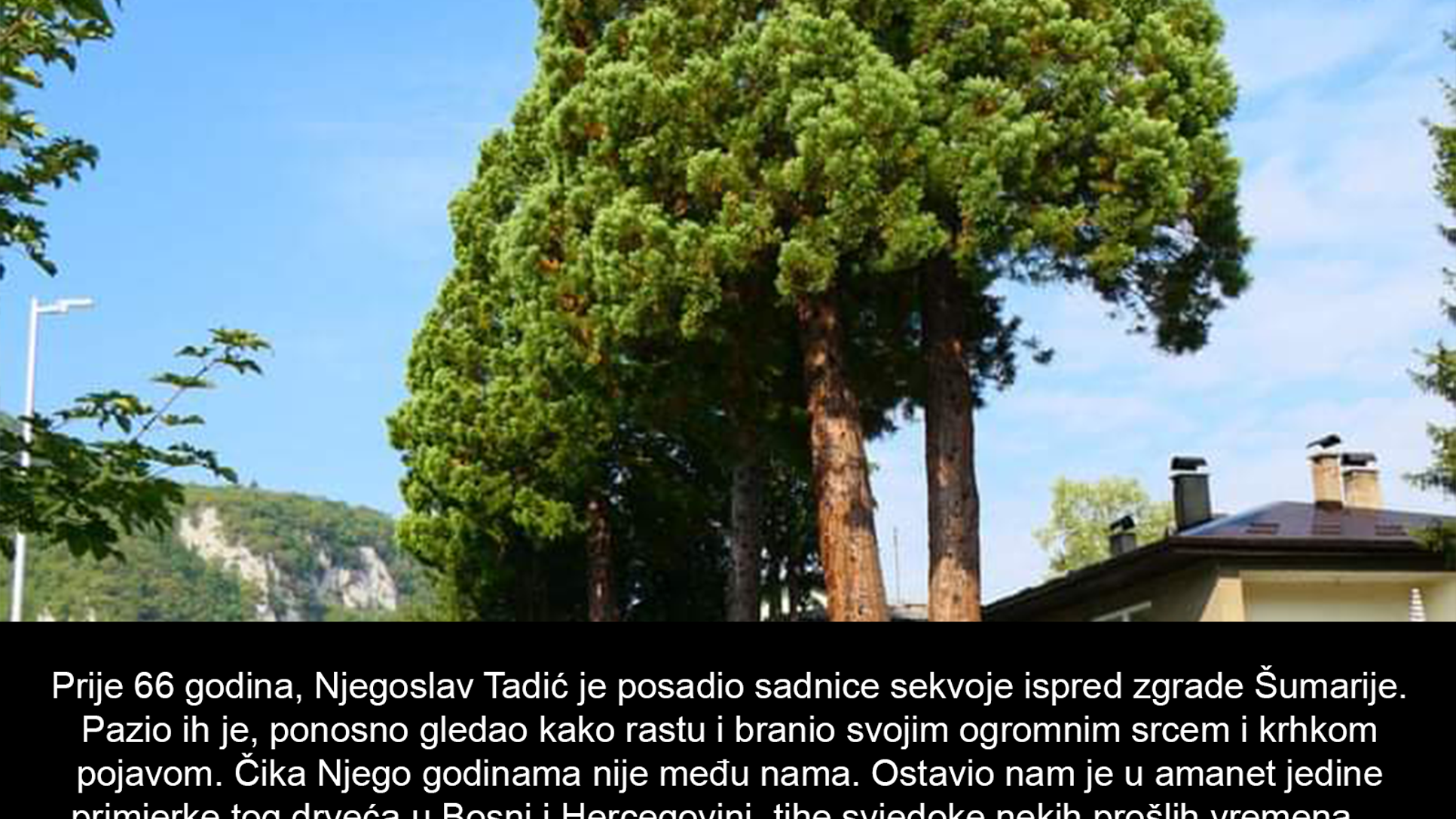 65d307ec2c0e8_article.png