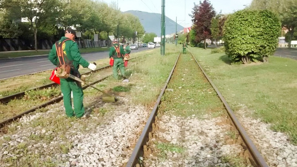 5ed118df01b58_article.jpg