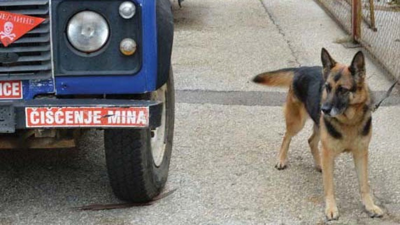Ja hoću život, pseći život...