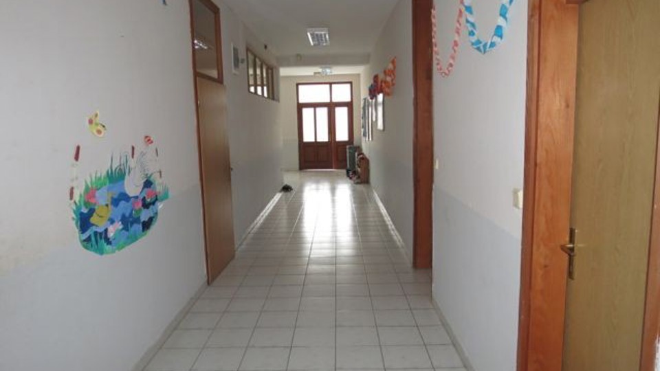 ap_527222d190498.jpg