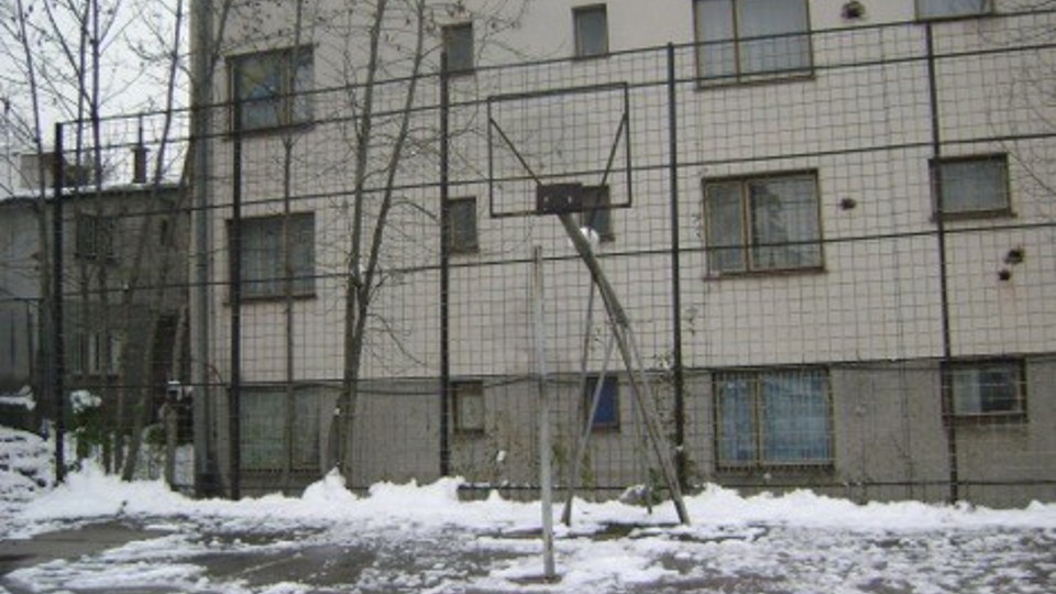 ap_529db01fd222f.jpg