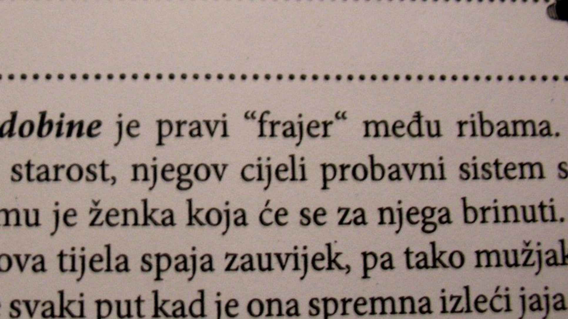 Grdobina na udžbenički način
