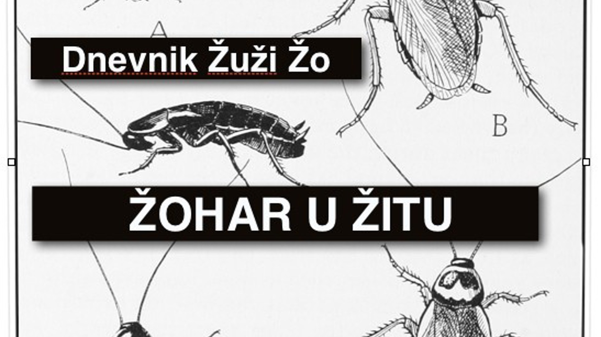 Žohar u žitu / 1