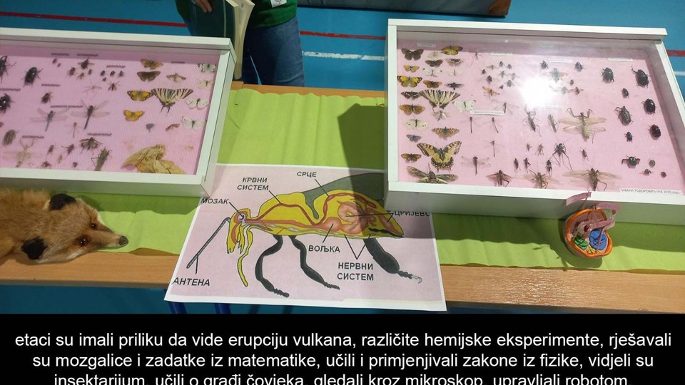 655b383ab0064_article.jpg