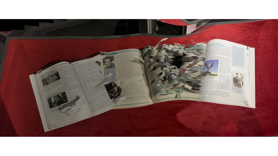 64b7d50615702_article.jpg