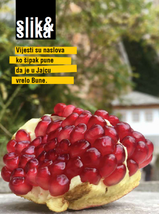 slik-novo-21