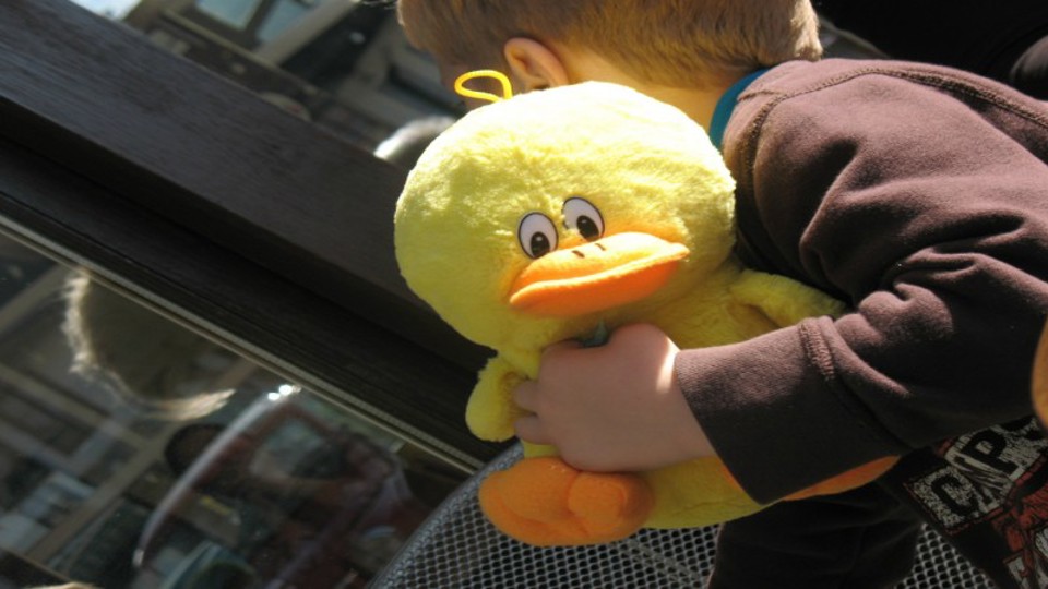 ap_55ba41930124f.jpg