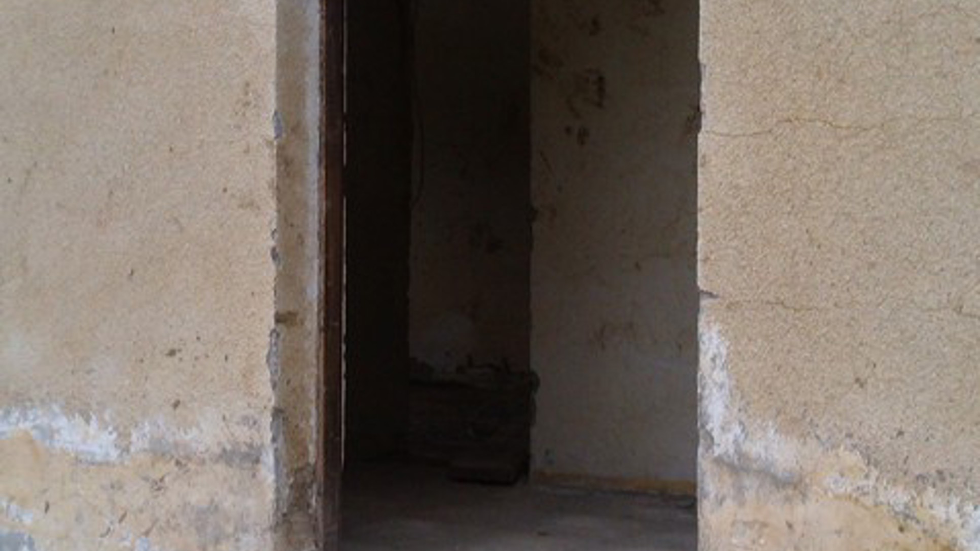 ap_53cabe72c3b6f.jpg