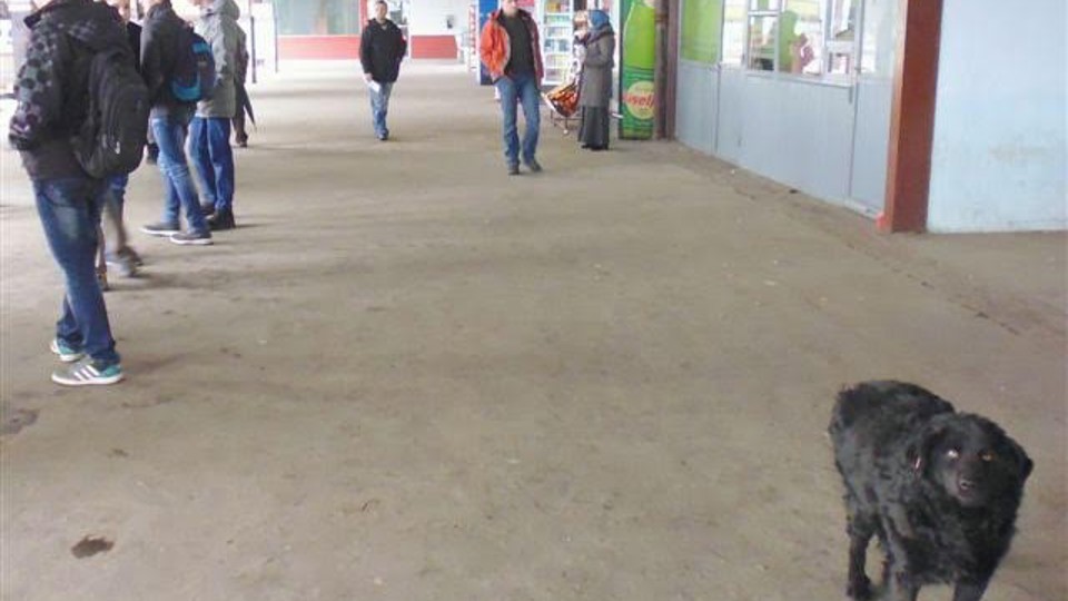 ap_55f3ebb56c1ef.jpg