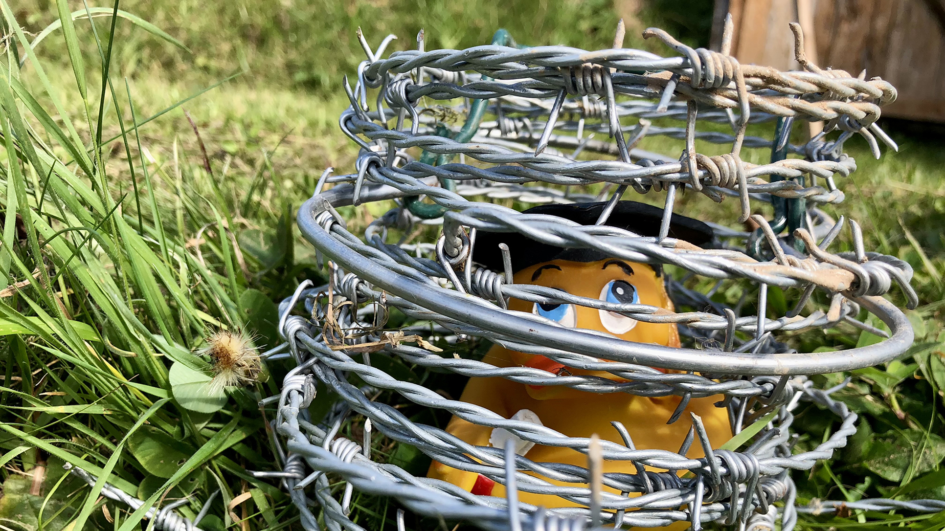 Posmrtno napredovanje