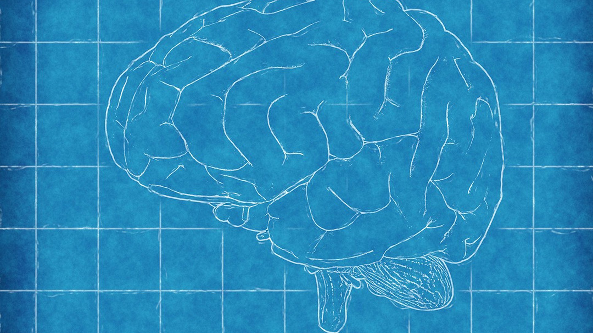 Zašto je period od druge do sedme godine života bitan za razvoj mozga