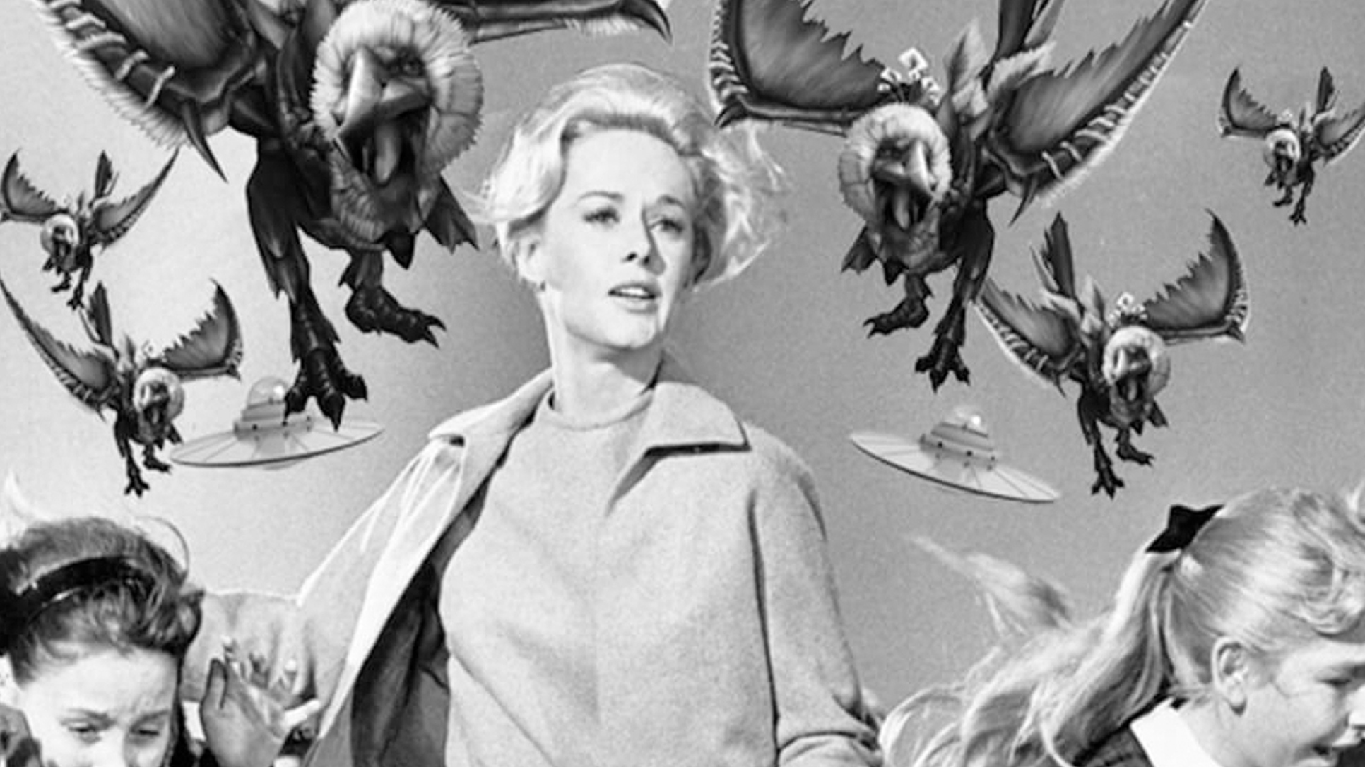 Alfred Hitchcock The Birds
