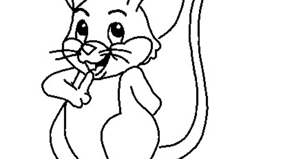 ap_595d56b7e2f5e.jpg