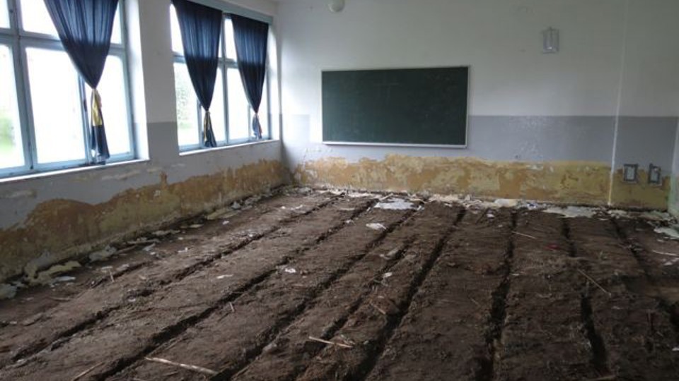ap_53a1921e2cb3e.jpg