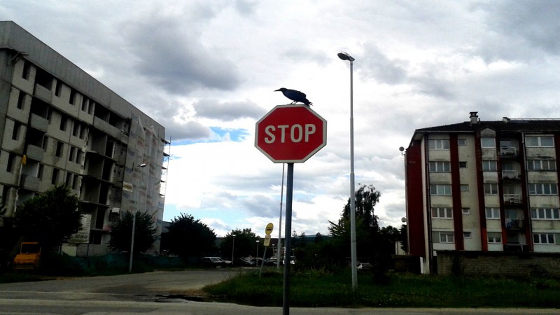 Edukacija? Odmah, iz svega!
