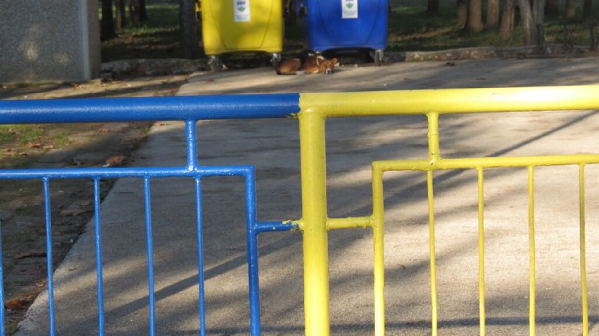 Borac ili direktorova žena, pitanje je sad?