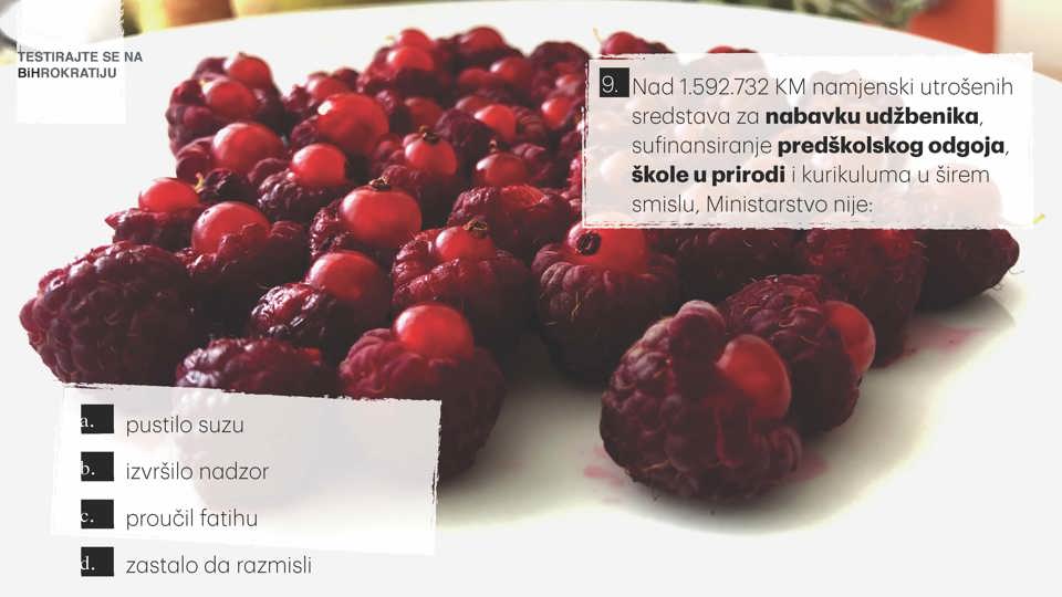 11 Revizija Page 10