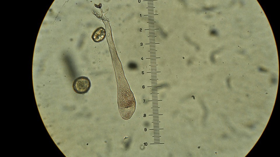 5fa9077da349f_article.jpg