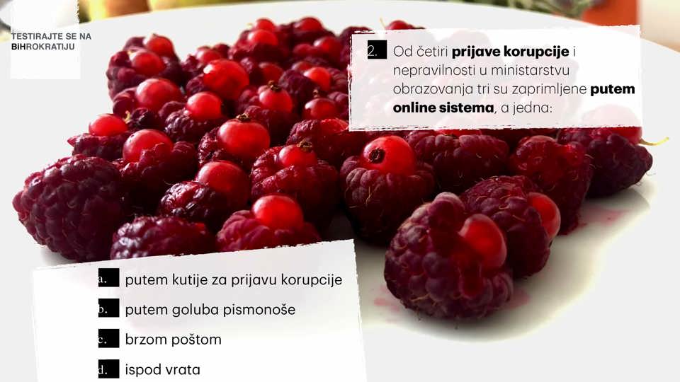 11 Revizija Page 03