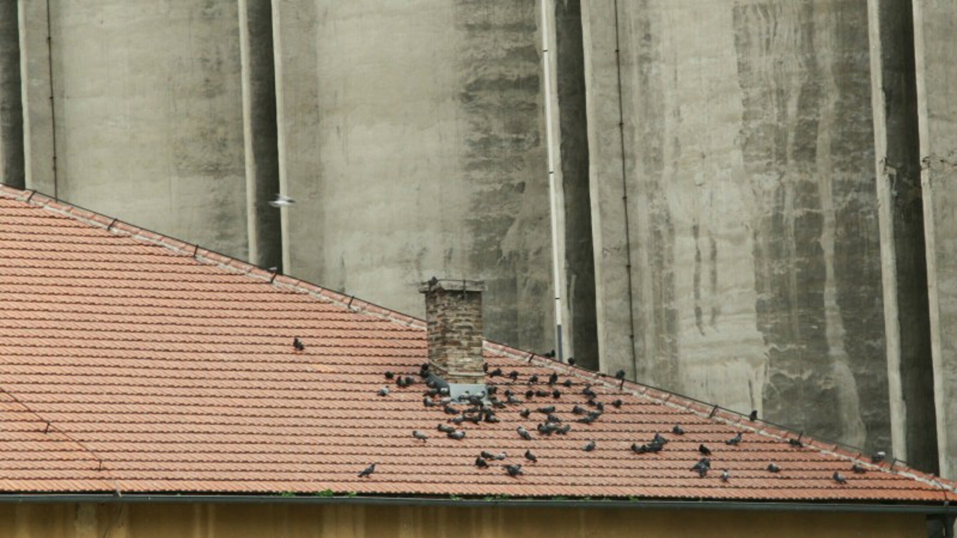 Jak, jači, isti (test)