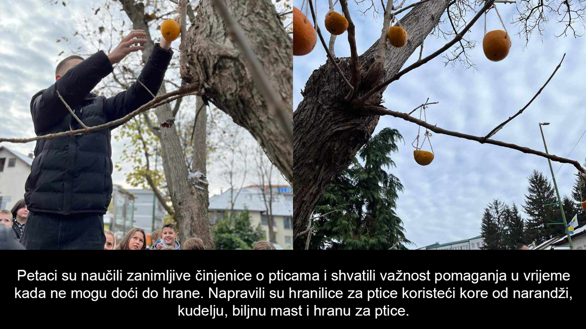 657c57208b9f2_article.png