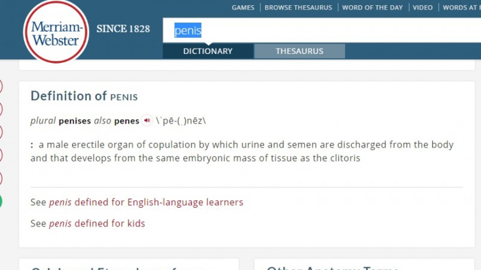 Zašto djeca ne bi koristila riječi tipa vagina ili penis?