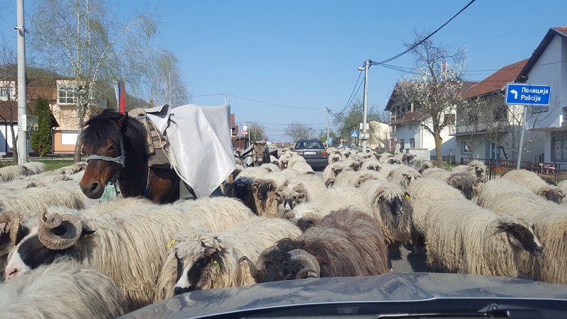 Higgsov bozon u Oštroj Luci