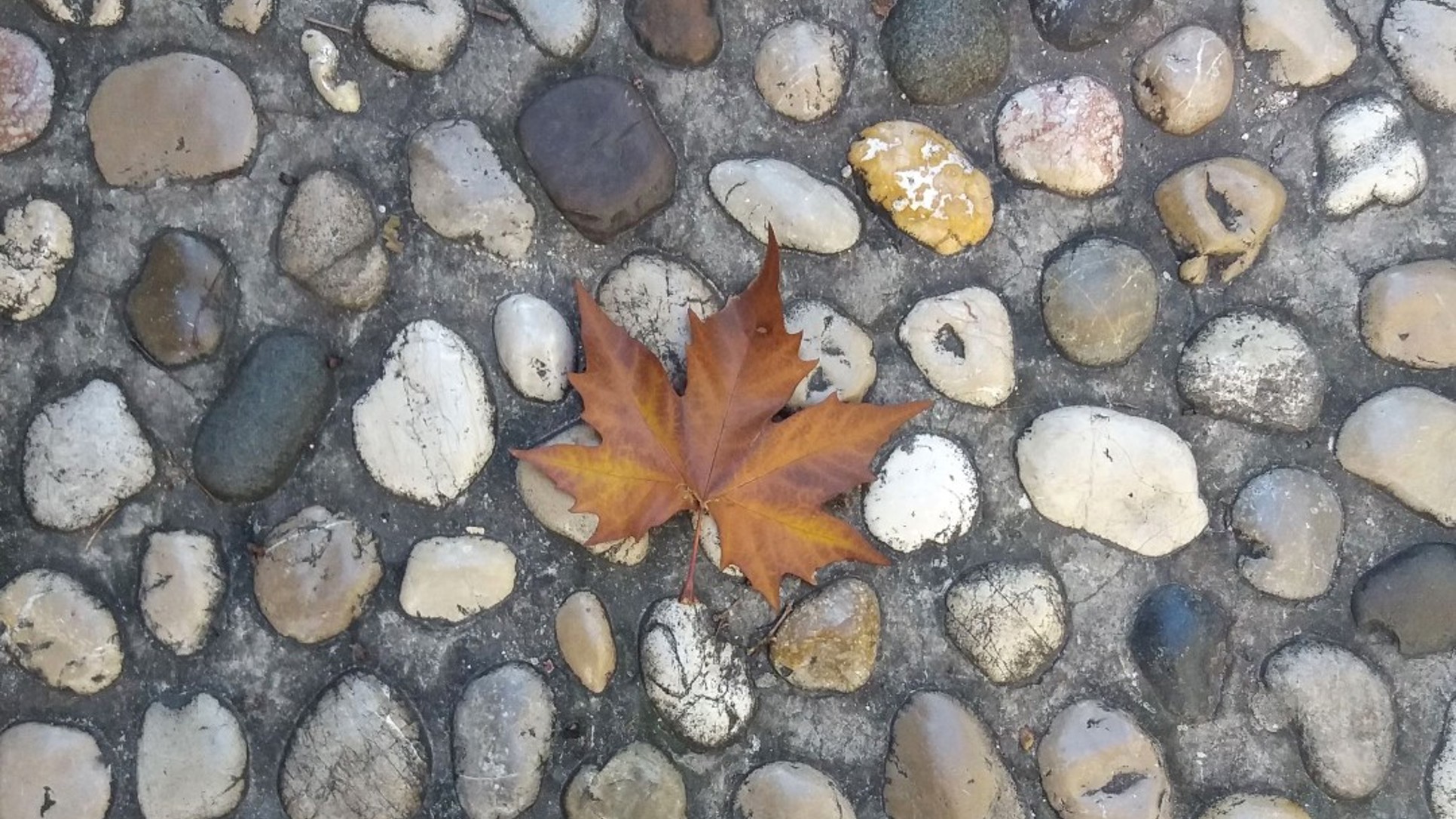 Zaista želim da i djeci i meni bude zanimljivo