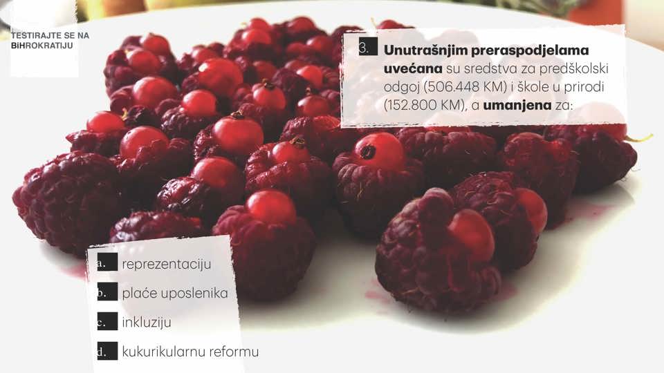 11 Revizija Page 04